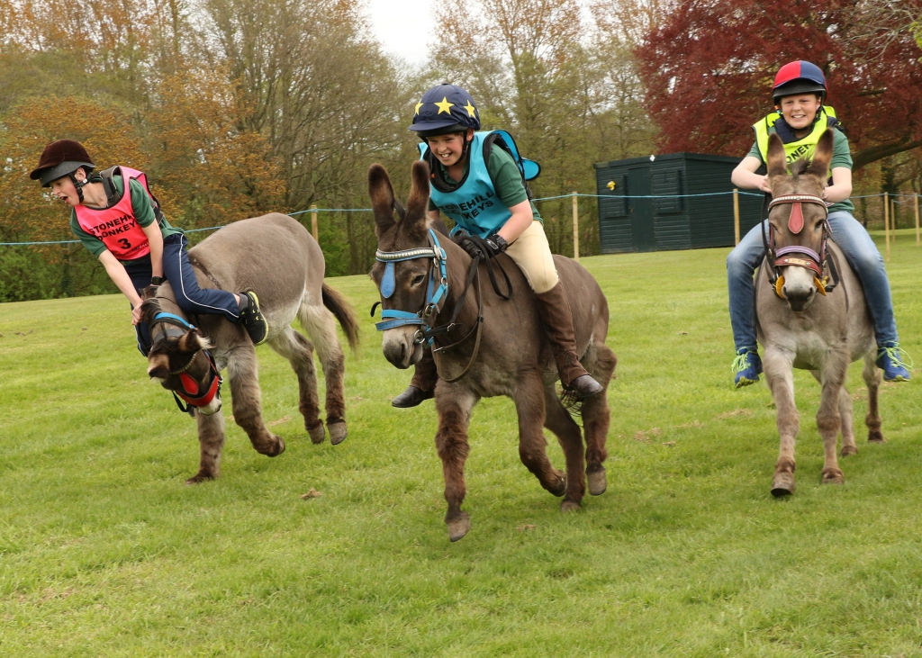 Packwood hosts donkey derby and afternoon of fun